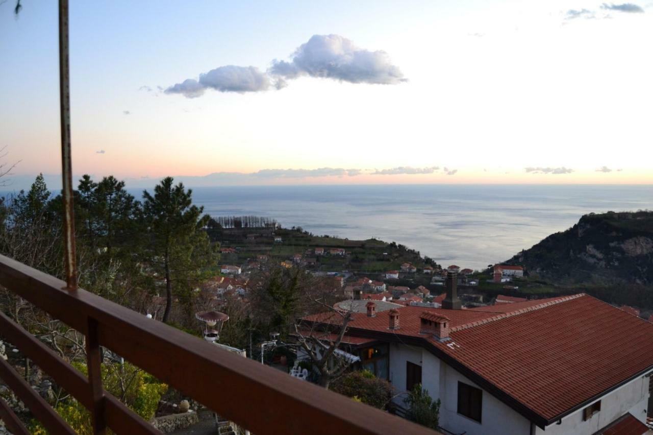 'La Torre Di Adele' Apartment Pianillo Bagian luar foto